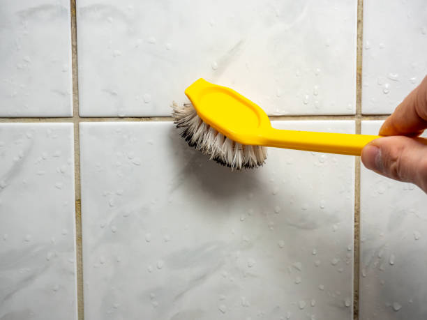 Best Mold Testing  in Lawton, OK