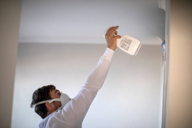 Best Attic Mold Removal  in Lawton, OK