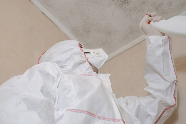 Best Local Mold Removal Service  in Lawton, OK