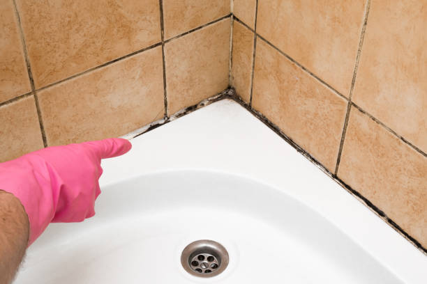 Best Mold Testing  in Lawton, OK